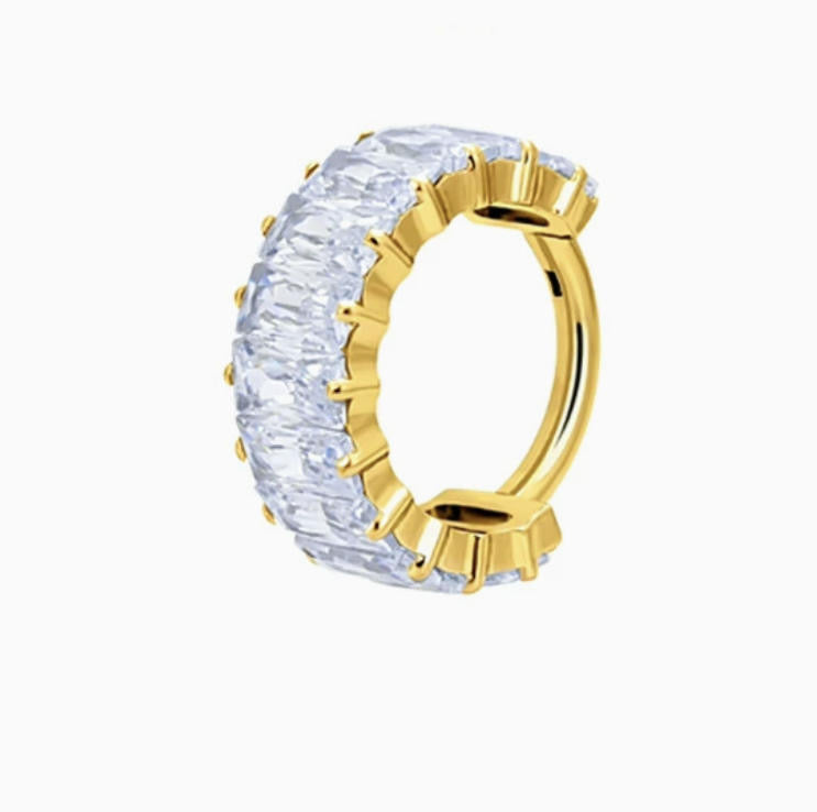 ASTM F136 Titanium Hinged Segment Clicker mit Crystal CZ – 1,2mm 8mm & 10mm