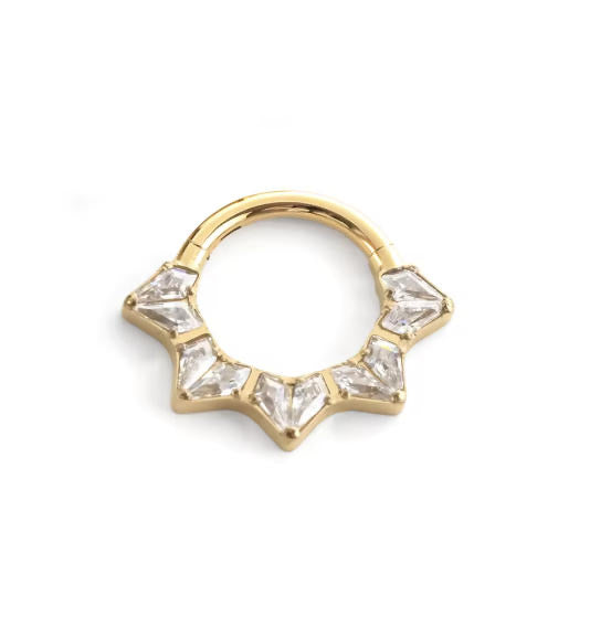 ASTM F136 Titanium Hinged Segment Clicker + Crystal CZ Daith & Septum – 1,2mm 8mm