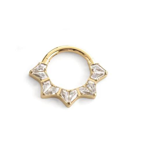 ASTM F136 Titanium Hinged Segment Clicker + Crystal CZ Daith & Septum – 1,2mm 8mm
