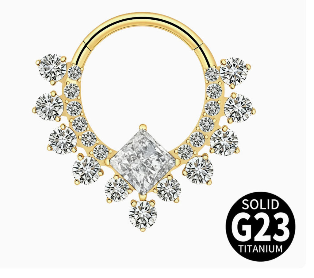 ASTM F136 Titanium Hinged Segment Clicker + Crystal CZ Daith & Septum – 1,2mm 8mm & 10mm